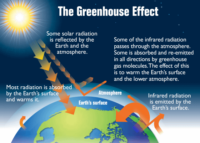Global Alerts 2024